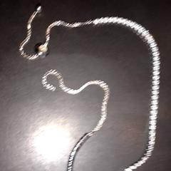 Náramek zilverkleurig, jak nahlášeno TivoliVredenburg pomocí iLost