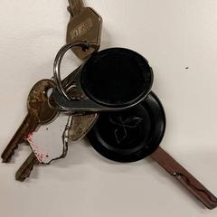 Sleutelbos, como reportado por Gemeente Hilversum utilizando o iLost