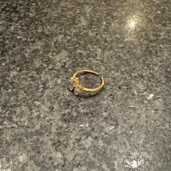 Ringa goud, bloem, rapporterat av Van der Valk Spier-Dwingeloo med iLost