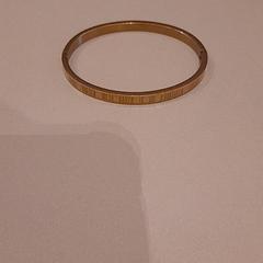 Xoias Goude armband, segundo informou Van der Valk Hotel Schiphol usando iLost