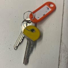 鍵 がiLostで GVB によって報告されました