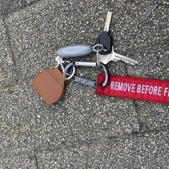 Sleutelbos, jak bylo nahlášeno na iLost