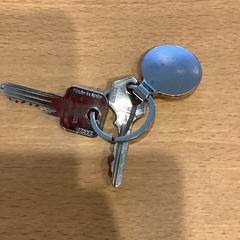 İLost kullanarak Gemeente Amsterdam - Bureau Gevonden Voorwerpen tarafından bildirildiği gibi Anahtarlar