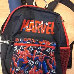 Rugtas, zoals gemeld door Qbuzz DMG met iLost