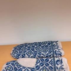 Luvas, como reportado por Keolis Lund utilizando o iLost