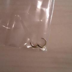 Arracada Oorbel goud, segons ha informat LUMC mitjançant iLost