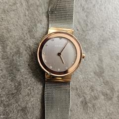 Horloge Bering, ako bolo nahlásené iLost