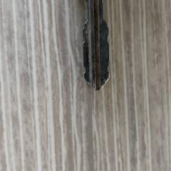 Schlüssel, gemeldet von Regio Antwerpen - Brussel über iLost