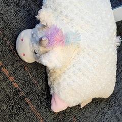 Peluche & Almohada, ha sido reportado por Connexxion Haarlem IJmond con iLost