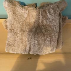 Towel, as reported by Familie Resort Molenwaard using iLost
