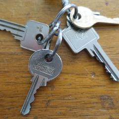 Sleutelbos, som rapporterats till iLost