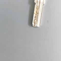 Clés, a été signalé par Centraal magazijn utilisant iLost