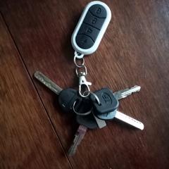 Sleutelbos, as reported to iLost