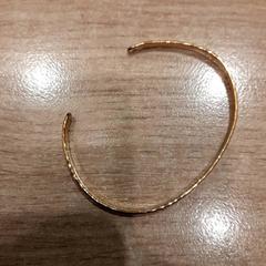 Polsera, segons ha informat Campus Den Haag mitjançant iLost