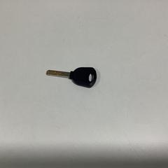 Bicycle key - 251025 OUTW, as reported by Ziggo Dome using iLost