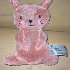 Mantita Konijn, ha sido reportado por Familie Resort Molenwaard con iLost