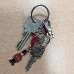 Sleutelbos divers, como reportado por Arriva Vechtdallijnen utilizando o iLost