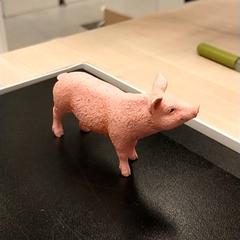 Varken Roze، كما تم الإبلاغ عنه بواسطة IKEA Zwolle عبر iLost