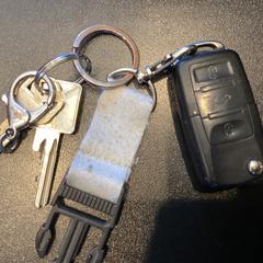 Sleutelbos, a été signalé par Johan Cruijff ArenA utilisant iLost