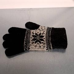 Hanske, som rapportert av Keolis Lund ved bruk av iLost