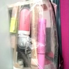 Bolsa de maquillaxe, segundo informou Twisto usando iLost