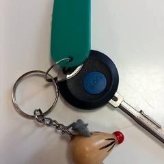 Nyckel, rapporterat av Arriva Limburg Zuid med iLost