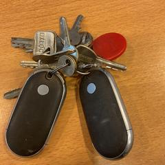 سلسلة المفاتيح، كما تم الإبلاغ عنه بواسطة Gemeente Amsterdam عبر iLost