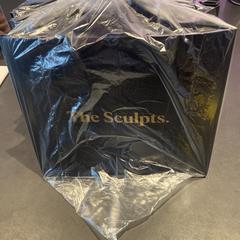 Plastpose The Sculpts black gift bags, som rapportert av Conscious Hotel Vondelpark ved bruk av iLost