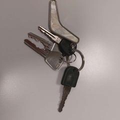 Nycklar Zwart, rapporterat av Vrije Universiteit Amsterdam med iLost