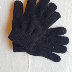 Handschoenen Zwart, zoals gemeld door DierenPark Amersfoort met iLost