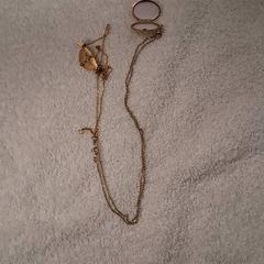 Collaret, segons ha informat Grand Hotel Amrâth Amsterdam mitjançant iLost