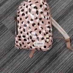 Ryggsäck, rapporterat av Arriva Limburg Zuid med iLost