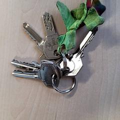 Nøkler, som rapportert av Connexxion Haarlem IJmond ved bruk av iLost