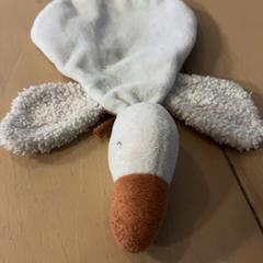 Cuddly slap, as reported by Familie Resort Molenwaard using iLost