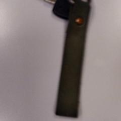 Schlüssel Groen/Zwart, gemeldet von Vrije Universiteit Amsterdam über iLost