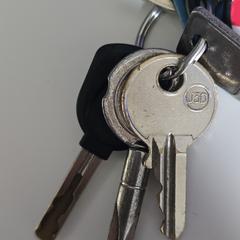 Sleutelbos, iLost에 보고됨