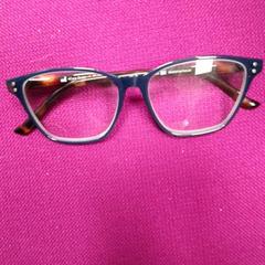 İLost kullanarak DierenPark Amersfoort tarafından bildirildiği gibi Gözlük