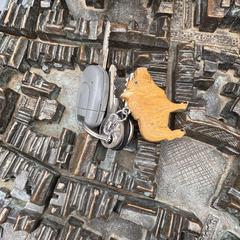 Auto sleutel, as reported to iLost