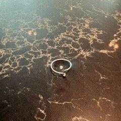 Ring, zoals gemeld door Van der Valk Hotel Veenendaal met iLost