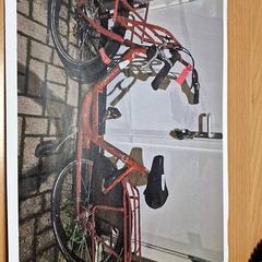 Damenrad, gemeldet von Gemeente Roermond über iLost