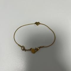 Karkötő, amint azt Gemeente Ede az iLost segítségével jelentette.