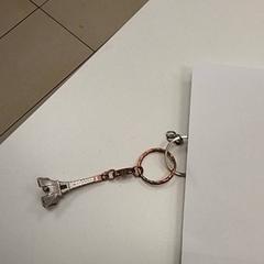 Keychain, as reported by ilévia using iLost