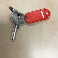 Klucz, zgłoszono przez Haaglanden Medisch Centrum przy użyciu iLost