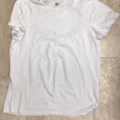 T shirt, as reported by Hotel van der Valk Maastricht using iLost