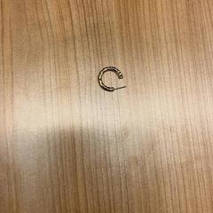 Oorbel がiLostで Pathé Spuimarkt によって報告されました