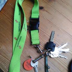 Sleutelbos, come riportato a iLost