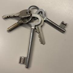 Klíčenka, jak nahlášeno Burgers' Zoo pomocí iLost