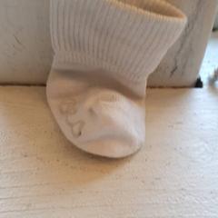 Sok Wit, zoals gemeld door DierenPark Amersfoort met iLost