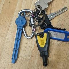 Chaveiro Metaal met roze, sleutels blauw, zwart, como reportado por Gemeente Wageningen utilizando o iLost