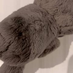 ぬいぐるみ がiLostで De Efteling によって報告されました